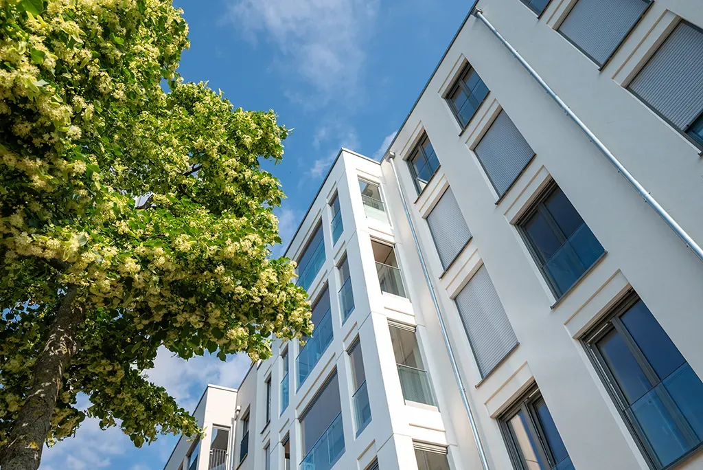 Modernes Mehrfamilienhaus mit blühendem Baum
