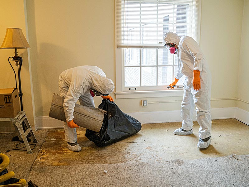 Zwei Personen mit Schutzkleidung packen Asbestboden in einen Sack.