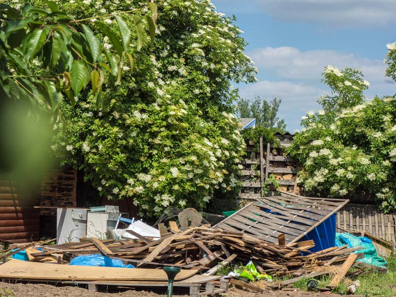 Garten entrümpeln: Holzbretter und andere Abfälle liegen in einem Garten.