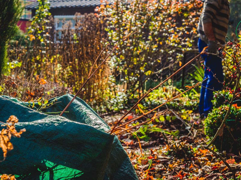 Große grüne Abfalltasche liegt in einem herbstlichen Garten.