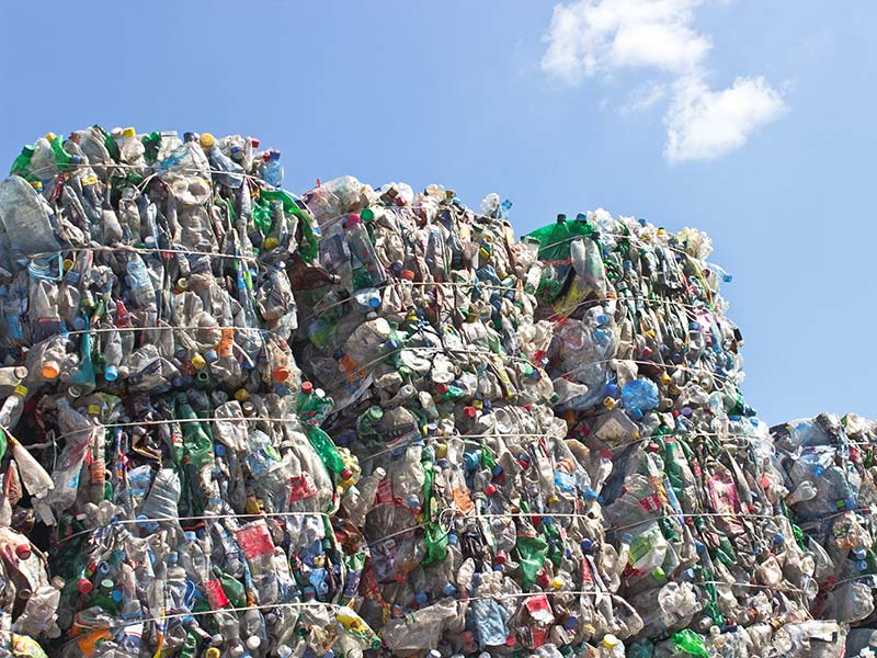 Zu Ballen gepresste Plastikflaschen liegen fürs Recycling bereit.