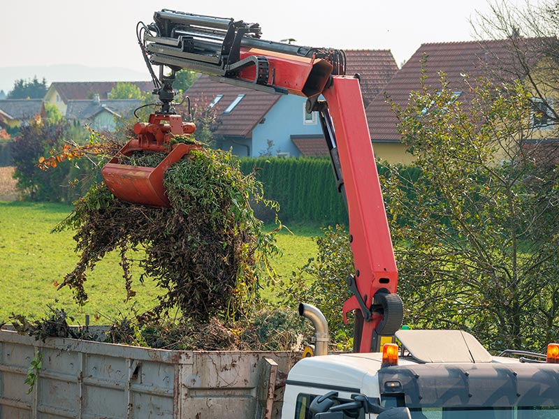 Selbstlader, der über einen Greifarm Gartenabfälle in den Container auf der Ladefläche füllt.