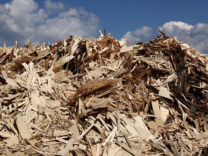 Großer Haufen an unbehandelten Holzabfällen auf einem Recyclinghof.