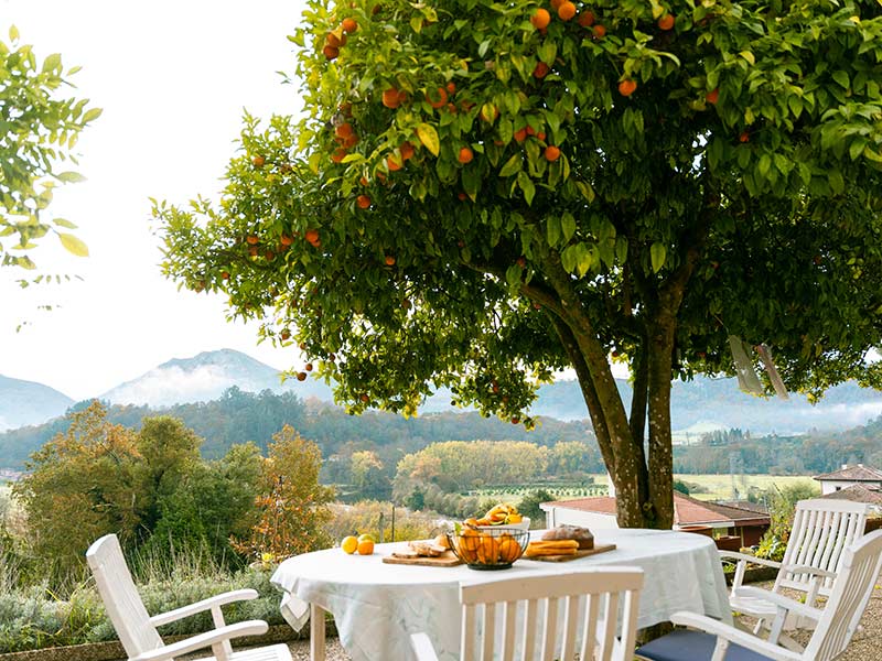 Gedeckter Frühstückstisch neben einem Obstbaum mit Ausblick auf Berge.