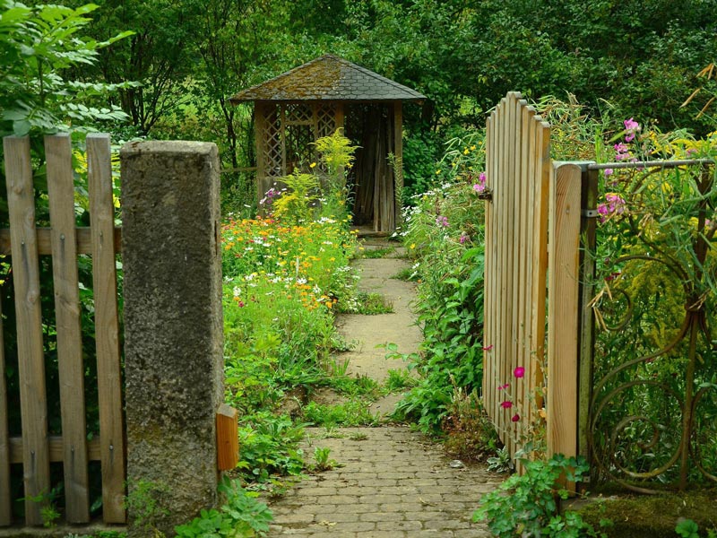 Verwilderter Eingang zu einem Garten mit hohen Hecken und Gräsern sowie einer alten Gartenlaube im Hintergrund.